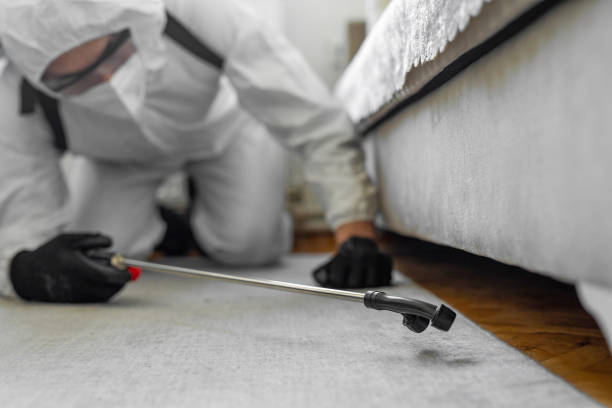 Professional Termite Control technician working in Montgomery, TX