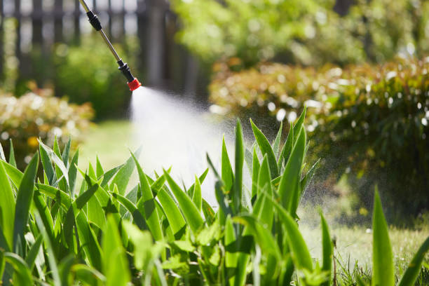 24/7 Emergency Termite Control experts in Montgomery, TX